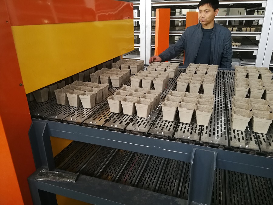 瑞典客戶(hù)訂購紙漿育苗杯設備